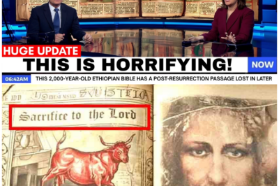 🦊 BURIED BY TIME, SILENCED BY POWER: THE POST-RESURRECTION SECRET THE GOSPELS NEVER WANTED YOU TO SEE 🔥