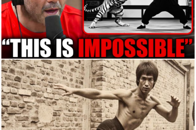 🦊 THE BRUCE LEE TALES EVERYONE LAUGHED AT—UNTIL THE FOOTAGE MADE THEM GO SILENT 🎥