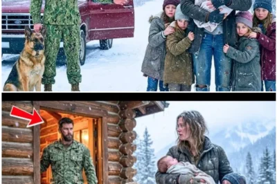 The snowstorm was relentless, swirling fiercely over the frozen highway like a sea of white fury. For most, it would have been a night to stay off the roads, to huddle indoors where the heat was warm, and the wind was kept at bay.