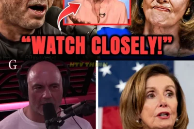 Joe Rogan Drops the CNN Clip Nancy Pelosi Didn’t Want You to Watch — The Response Is Exploding Online.