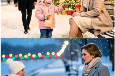 On a cold Christmas Eve, Loring Park lay blanketed in soft, falling snow, transforming the city of Minneapolis into a winter wonderland.