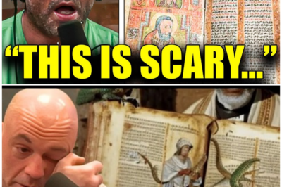 🦊 THE SECRET JESUS TRIED TO HIDE: A 2,000-YEAR-OLD LETTER REWRITES EVERYTHING WE THOUGHT WE KNEW 🔥