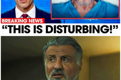 🦊 SYLVESTER STALLONE SPEAKS: THE SILENT PAIN HE CARRIED FOR DECADES FINALLY EXPOSED AT 78—THE SHOCKING TRUTH WILL ASTONISH FANS 🥊💔