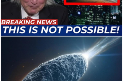 🦊 3I Atlas Just SHIFTED Again—and Michio Kaku Reveals the Alarming Secrets Behind the Cosmic Mystery That NASA Won’t Discuss... 🌌