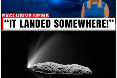 🦊 NASA Insider Leaks Stunning New 3I Atlas Images That Have Astronomers Terrified—What They’re Hiding Will Shock the World… 👽