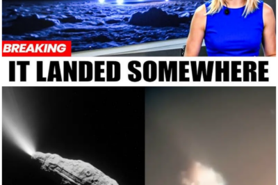 🦊 Astronomers in Panic: The Secret 3I Atlas Images Leaked by NASA Insider Reveal a Mystery They Didn’t Want You to See… 🚨