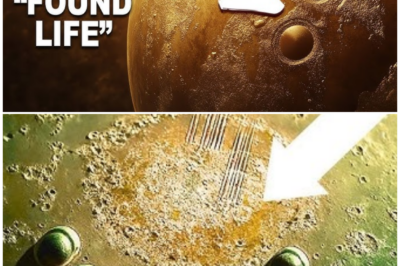 🦊 EXTRATERRESTRIAL COVER-UP? Leaked Data Suggests Proxima B May Host INTELLIGENT LIFE—Officials Silent ⚠️