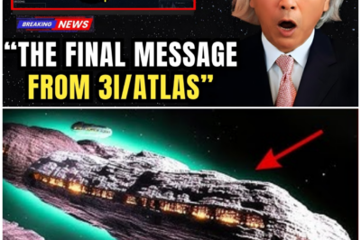 🦊 MYSTERY SIGNAL FROM DEEP SPACE REVEALS ALLEGED IDENTITIES—SCIENTISTS AND MICHIO KAKU LEFT STUNNED, FEAR AND WONDER COLLIDE 📡🔥