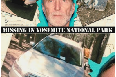 SOMETHING DOESN’T ADD UP ABOUT THIS CASE – PETER JACKSON