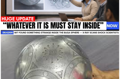 🦊 SHOCK INSIDE THE METAL MYSTERY: MIT X-Rays Expose Something Moving Inside the Buga Sphere — Scientists Are Left Speechless 🧪