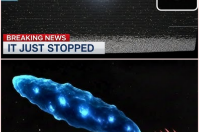SHOCKING SIGNAL: Is the Mysterious 3I Atlas a Harbinger of Catastrophe?