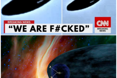 🦊 UNIMAGINABLE DISCOVERY AT THE EDGE OF SPACE: VOYAGER 1 DETECTS SOMETHING THAT DEFIES ALL EXPECTATIONS ⚡🛰️