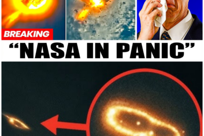 🦊 VOYAGER 2 DEFIES EXPECTATIONS: THE SPACECRAFT JUST TURNED BACK—AND WHAT IT REVEALED TERRIFIES SCIENTISTS 🌌⚠️