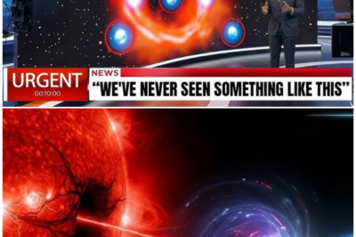 🦊 THE SKY WAS NEVER EMPTY — THE SHOCKING DISCOVERY SCIENTISTS DON’T WANT ON THE NEWS 🛰️