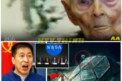 🦊 “GLOBAL JAWS DROP: NASA Insider’s Emotional Breakdown Exposes a Secret So Terrifying It Rewrites Everything We Thought We Knew About the Moon 🚨🌘”