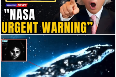 🦊 EXCLUSIVE: A Shocking Cosmic Secret That Could Wipe Out Humanity – Scientists Are Terrified! 🚨