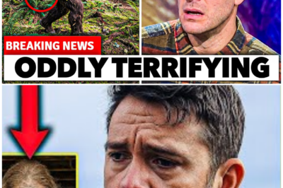 🦊 BREAKING PANIC: A SEALED BASEMENT, A SUDDEN DISCOVERY, AND WHY BRYCE JOHNSON’S NAME IS TRENDING FOR ALL THE WRONG REASONS 🚨🏚️