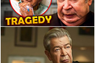 🦊 PAWN STARS SHOCKER: The Truth About The Old Man Has Finally Been REVEALED—And Fans Are STUNNED by What’s Been Hiding Behind the Counters for Decades 😱💰