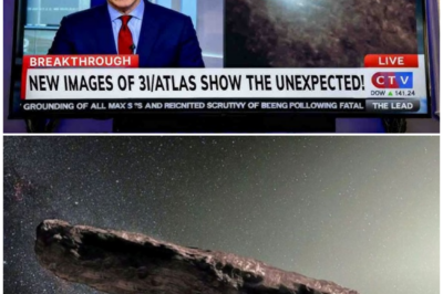 🦊 COUNTDOWN IN THE COSMOS: NASA’S QUIET ALL-HANDS ALERT AS A MYSTERIOUS OBJECT DEFIES EVERY EXPECTATION 🛰️