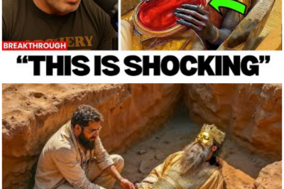 🦊 Ancient Secrets, Hidden Riches, and a Discovery Beneath Jerusalem That Experts Say the World Wasn’t Ready For ⚠️