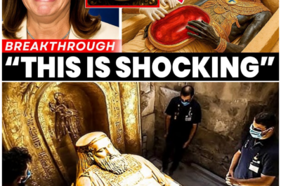 🦊 5,000 YEARS OF SECRETS FINALLY UNVEILED: King Solomon’s Tomb Opened — Archaeologists Stumble Upon a Discovery That Defies History 🔥