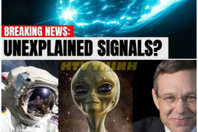 🦊 MYSTERY ERUPTS: IS NASA BURYING THE 3I ATLAS TRUTH WHILE UNEXPLAINED SIGNALS RATTLE SCIENTISTS? 🌌