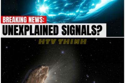 🦊 DEEP-SPACE DRAMA EXPLODES: AVI LOEB’S NEW CLAIMS SPARK FEARS OF A COSMIC COVER-UP NOBODY SAW COMING 🚨