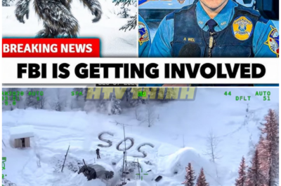 🦊 “1 MINUTE AGO: Mysterious Alaska Footage SURFACES, Unleashing a Storm of Panic as Viewers Spot Something Authorities Refuse to Explain 🎥❄️”
