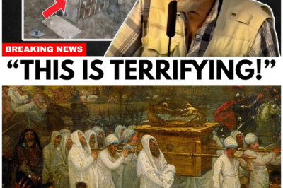🦊 SEALED SECRETS AND SILENCED WARNINGS: RON WYATT’S FINAL CLAIM ABOUT THE ARK THAT STILL TERRIFIES EXPERTS ⚡📜