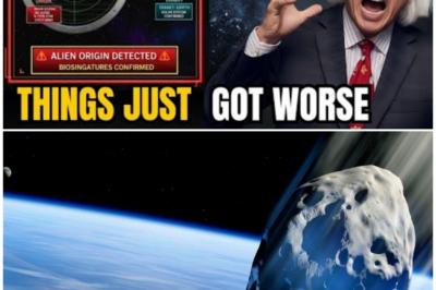 🦊 COSMIC MYSTERY UNCOVERED: WHERE 3I/ATLAS REALLY CAME FROM IS MORE TERRIFYING THAN ANYONE DARED TO IMAGINE 🛸🔥