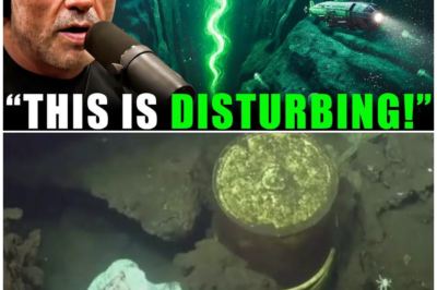 🦊 DESCENDING INTO DARKNESS: WHAT EXPLORERS FOUND AT THE BOTTOM OF THE MARIANA TRENCH WILL CHANGE EVERYTHING YOU KNOW ABOUT POWER AND LIFE 🌊