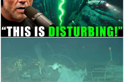 🦊 THE ABYSS REVEALS ITS SECRETS: SCIENTISTS UNCOVER A FUTURE NO ONE EXPECTED IN THE WORLD’S DEEPEST PLACE ⚡