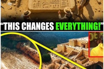 🦊 A SEALED SCROLL, A SILENT WARNING, AND A CHAIN OF EVENTS NO ONE CAN STOP NOW ⚠️