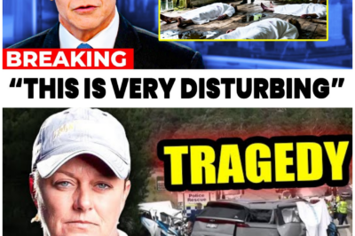 🦊 1 MIN AGO: Horror Beneath the Boards — What Was Just Found Inside Liz Cavalier’s Dock House Has Swamp People Fans Reeling 💥