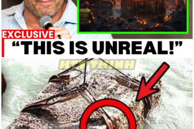 🦊 “BREAKING REVELATION: Joe Rogan Drops Jaw-Dropping Details About Oak Island Treasure — Fans and Historians Stunned 🌊💰”