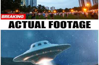 🦊 UNDENIABLE OR UNEXPLAINABLE? THE TERRIFYING NEW WAVE OF 42 REAL-LIFE SIGHTINGS THAT HAS SPECIALISTS WHISPERING ABOUT A SECRET THEY CAN NO LONGER BURY ⚠️