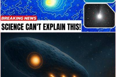 The “Impossible” Signal: 4 Countries Just Recorded The Same Pattern From 3I Atlas!