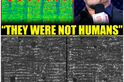 🦊 “THE SCROLL THEY DIDN’T WANT US TO READ”: X-Ray Scans of the Herculaneum Scroll Reveal Lost Roman Secrets That Could Change History Forever 📜