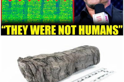 🦊 “HISTORY REWRITTEN IN FIRE AND ASH”: Charred Herculaneum Scrolls Hold Shocking Truths Hidden for Millennia 🔥