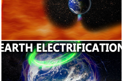 🐘 “THE COSMIC SECRET: Magnetic Storm Hits Earth — What Science Isn’t Telling Us! ⚡” “A magnetic storm is wreaking havoc on Earth, but what if there’s more to the story than meets the eye? Dive into the mysteries that science may be hiding from us regarding these powerful storms and their potential effects on our lives!” “In the vastness of the universe, knowledge is power!” 👇