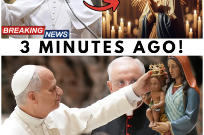 🌹 Pope Leo XIV Says the Virgin Mary Was Misunderstood for Centuries—The Vatican Is in Complete Chaos