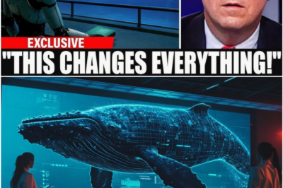 Scientists Decode Whale Language for the First Time—and the Message Beneath the Waves Is Disturbingly Clear