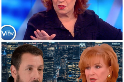 “Joy Behar STORMS OFF The View After Adam Sandler’s SHOCKING Revelation: ‘I Never Liked Your Jokes!’” 🎭🔥💔  In a jaw-dropping moment that left viewers gasping, Joy Behar abruptly walked off the set of The View, her face a mask of disbelief after Adam Sandler threw down the gauntlet with a stinging comment: “I never liked your jokes!” The tension was palpable as the audience watched a Hollywood icon confront a daytime diva, leading to an explosive clash that had everyone questioning the true nature of their friendship. What secrets lie beneath this public spat, and will Joy ever return to face the music? Tune in to find out! 👇
