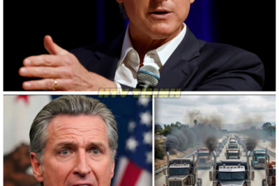 California Governor CAVES: Diesel Truck Ban REVERSED After Major Lawsuit! 🚚⚖️ In a stunning turn of events, Governor Gavin Newsom has backed down on the controversial diesel truck ban after a fierce lawsuit rattles the state. The legal pressure was too much, forcing a massive reversal that has left many questioning: What’s next for California’s ambitious environmental policies? What does this mean for truckers, businesses, and the state’s future? The fallout has just begun! 👇