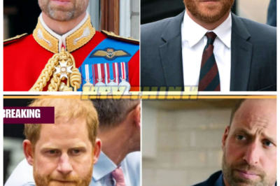 Royal SHOCKER: Prince William “Crushes” Harry’s Hopes with Impossible Conditions for Return! 👑💔 In a stunning royal turn, Prince William has crushed Prince Harry’s hopes of a return to the family, imposing impossible conditions that could end their relationship forever. What are these shocking terms, and how does this bold move reshape the future of the royal family? The palace is in turmoil, and this could be the final blow for Harry. 👇