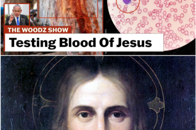 “‘The Blood Is Still Alive’: A Shocking Claim From Israel Ignites Global Debate Over Science, Faith, and the Limits of Belief”