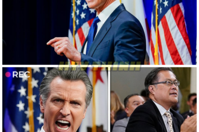 California Governor in PANIC Mode: Emergency Plan to SEIZE Refineries LEAKS—State on the Brink! 🚨⛽ In a stunning revelation, an emergency plan to seize California’s refineries has leaked, sending Governor Gavin Newsom into full-blown panic. With tensions rising and the state’s energy future uncertain, how will the governor respond to this explosive leak that could change everything? The state is teetering on the edge, and the fallout has just begun. 👇