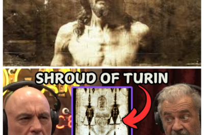 New Evidence PROVES Jesus was REAL? – Joe Rogan & Mel Gibson