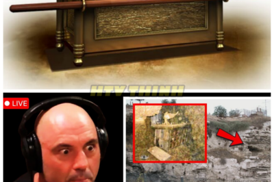 The Mystery of the Ark of the Covenant: Where Is It Now, and What Happened After It Vanished 2,500 Years Ago? 😱📜 For over two millennia, the whereabouts of the Ark of the Covenant have remained one of history’s greatest mysteries. What happened after it vanished from the temple, and where could it be hidden today? The secrets of this sacred artifact could change everything we know about ancient history and the Bible. Prepare for a revelation that will stun the world. 👇