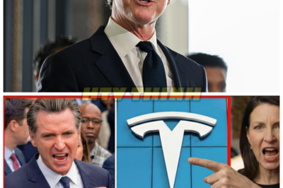 Tesla Drops a Bombshell on California—Factory Closure Sends Governor into PANIC Mode! 🚗💥 The California Governor’s worst nightmare has just come true—Tesla has announced it’s closing one of its key factories, and the state is bracing for a major economic disaster. With thousands of jobs on the line, this could be the tipping point that forces California to face its biggest economic crisis yet. What’s really behind Tesla’s shocking move, and can the Governor save the state from financial ruin? This is a story you can’t afford to miss!👇